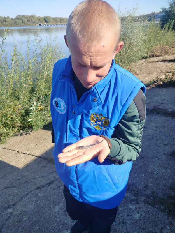 Чебоксарское водохранилище пополнилось молодью стерляди